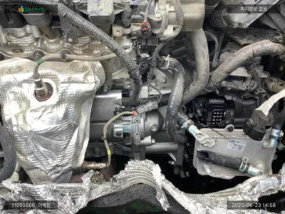 2021 Kia Carnival KNANC813BMS069393 VIN:KNANC813BMS069393