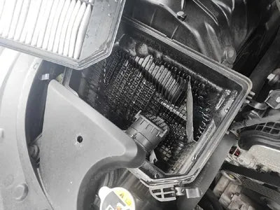 2019 Genesis G80 VIN: