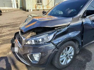 2015 Kia Sorento KNAPS81ABFA061892 VIN:KNAPS81ABFA061892