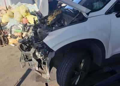 2019 Hyundai Santa FE KMHS281BBKU152315 VIN:KMHS281BBKU152315