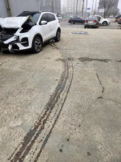 2019 Kia Sportage KNAPN813BKK670181 VIN:KNAPN813BKK670181