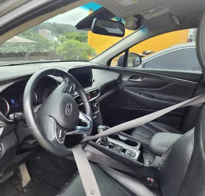 2020 Hyundai Santa FE KMHS281CDLU270032 VIN:KMHS281CDLU270032