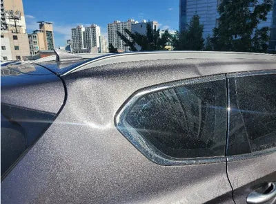 2019 Hyundai Santa FE KMHS381BBKU021969 VIN:KMHS381BBKU021969