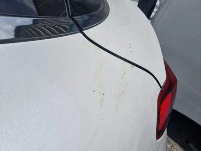 2020 Kia K5 KNAG641BBLA029064 VIN:KNAG641BBLA029064