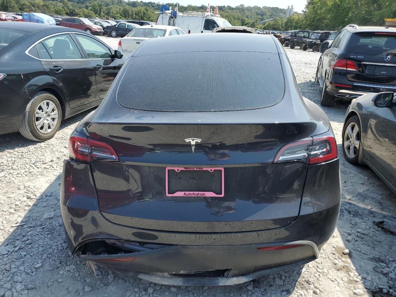 2024 TESLA MODEL Y  VIN:7SAYGDED3RF114643
