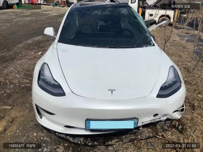 2020 Tesla Model 3 5YJ3E1EB9LF695079 VIN:5YJ3E1EB9LF695079