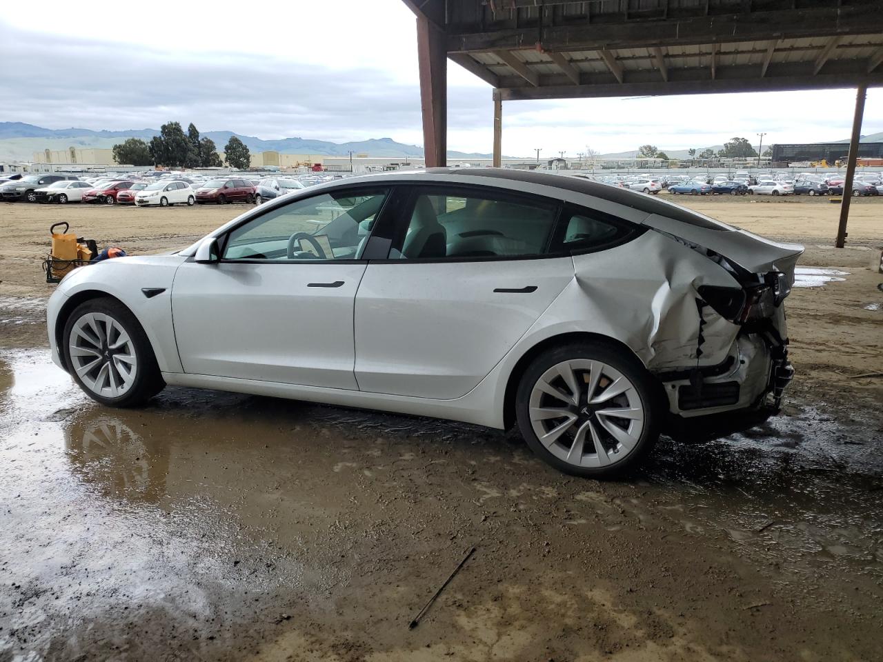 2023 TESLA MODEL 3  VIN:5YJ3E1EA9PF515418