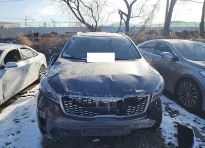 2019 Kia Sorento KNAPS81ABKA509598 VIN:KNAPS81ABKA509598