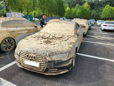 2016 Audi 50 WAUZZZ4G7GN154837 VIN:WAUZZZ4G7GN154837