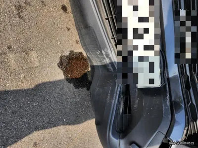 2022 Toyota RAV4 VIN: