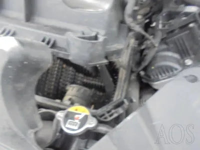 2015 acupuncture nessis 3.8 VIN: