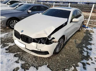 2019 BMW 520 WBAJK7108KGL29042 VIN:WBAJK7108KGL29042
