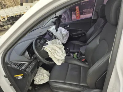 2015 Hyundai Santa FE KMHSW81UBFU479828 VIN:KMHSW81UBFU479828