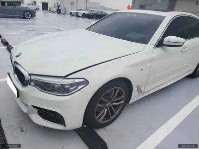 2019 BMW 520 WBAJF3107KBS70317 VIN:WBAJF3107KBS70317