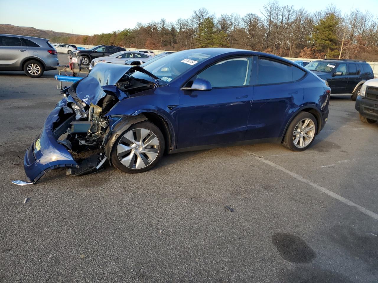2023 TESLA MODEL Y  VIN:7SAYGDEE5PA124819