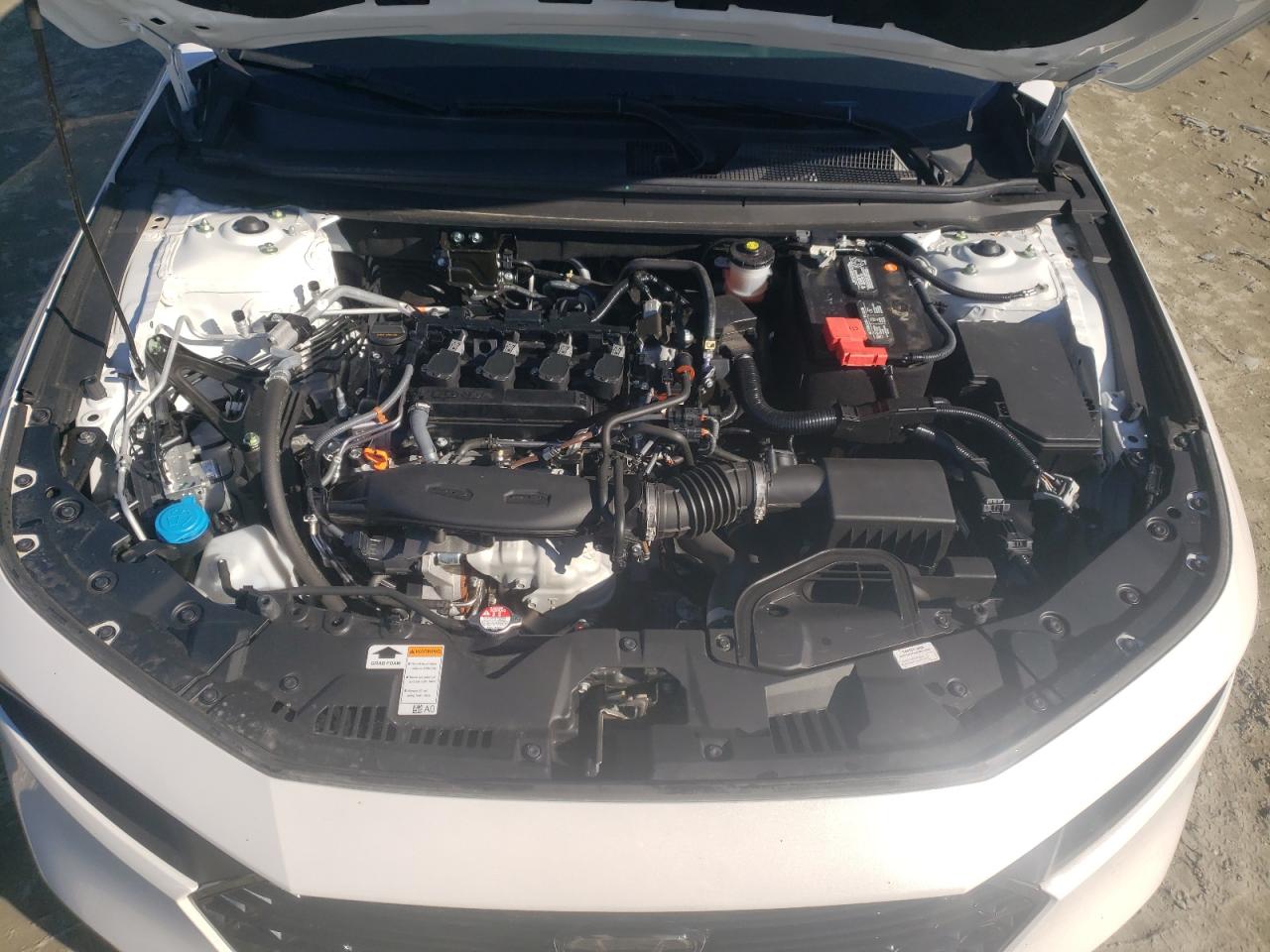 2024 HONDA ACCORD LX VIN:1HGCY1F20RA016955