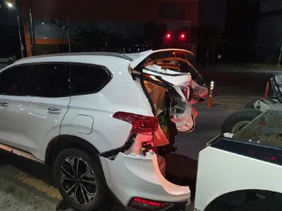 2019 Hyundai Santa FE KMHS381CBKU162453 VIN:KMHS381CBKU162453