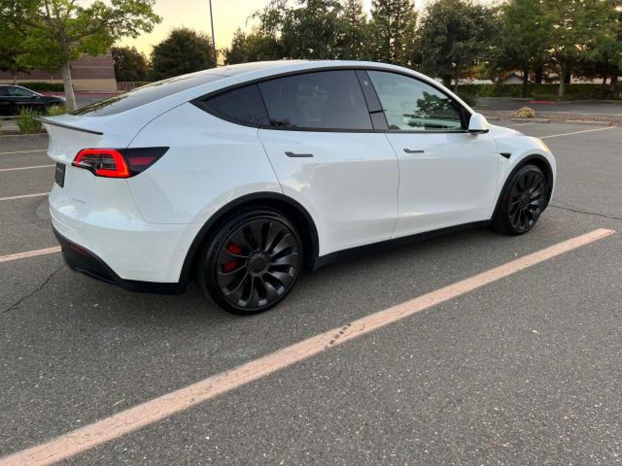2022 TESLA MODEL Y  VIN:7SAYGDEF6NF343071