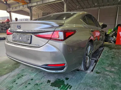 2019 Lexus ES 300 JTHB21B16K2011590 VIN:JTHB21B16K2011590