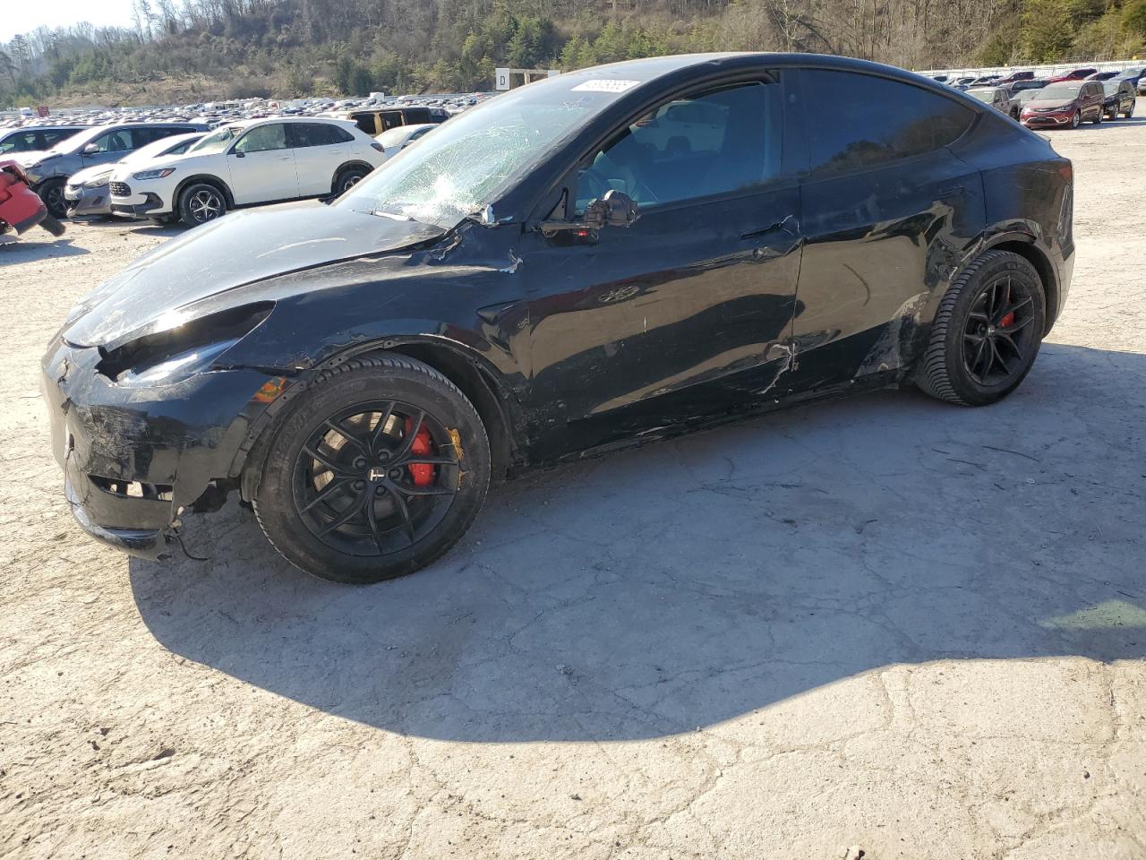 2023 TESLA MODEL Y  VIN:7SAYGDEF1PF867165