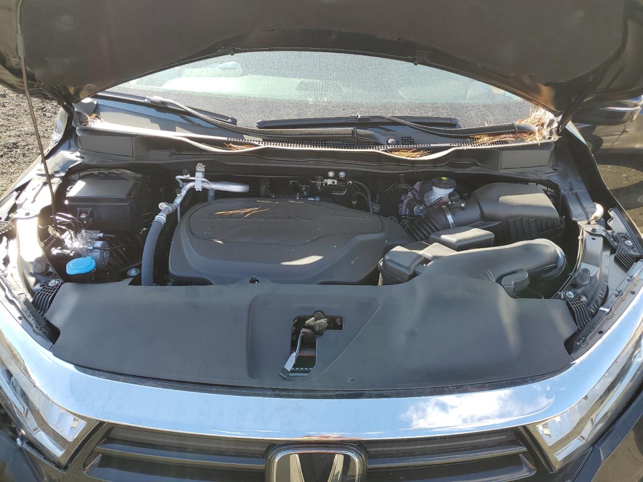 2024 HONDA ODYSSEY EXL VIN:5FNRL6H68RB062819