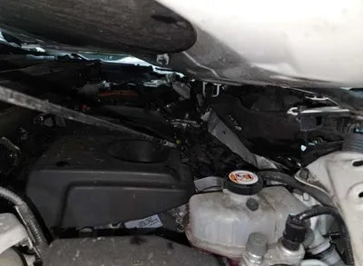 2019 Toyota RAV4 VIN: