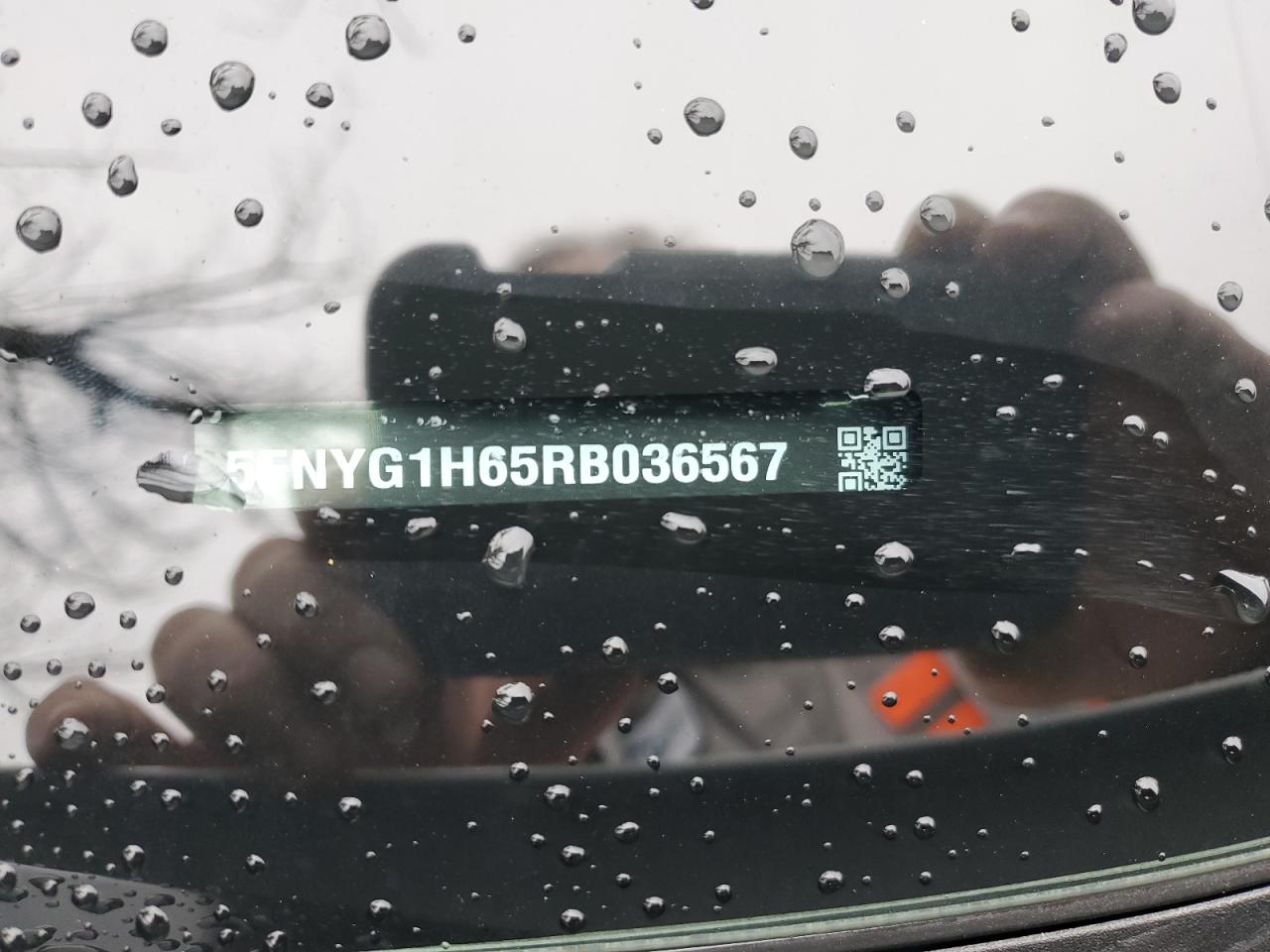 2024 HONDA PILOT TRAILSPORT VIN:5FNYG1H65RB036567