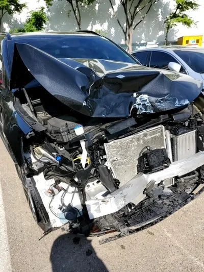 2020 Kia Sorento KNARH81GBMA013803 VIN:KNARH81GBMA013803