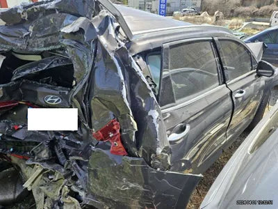 2020 Hyundai Santa FE KMHS381HGMU323913 VIN:KMHS381HGMU323913