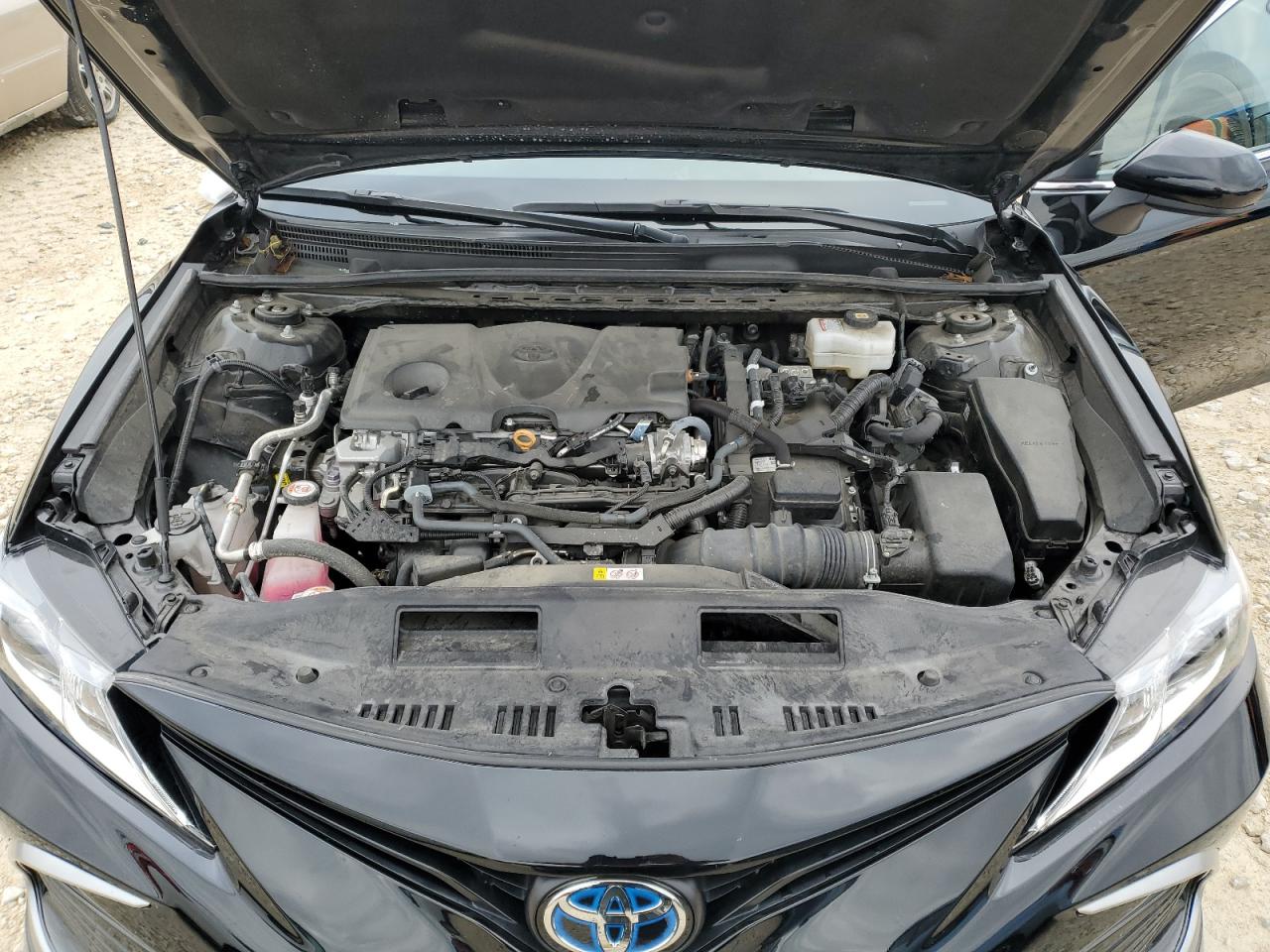 2023 TOYOTA CAMRY LE VIN:4T1C31AK9PU612481