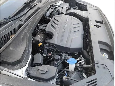 2019 Hyundai Santa FE KMHS281CBKU107302 VIN:KMHS281CBKU107302