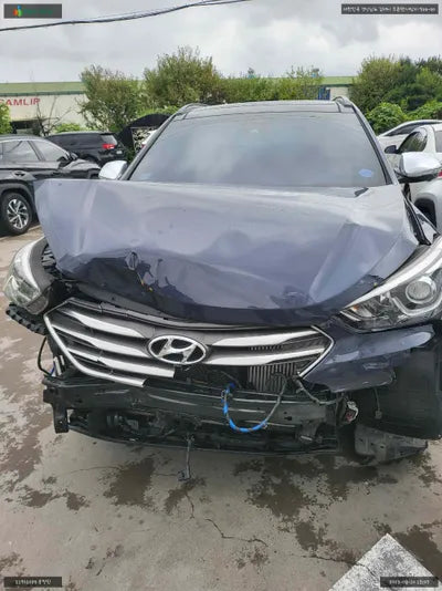 2018 Hyundai Santa FE KMHSW81UBJU856897 VIN:KMHSW81UBJU856897