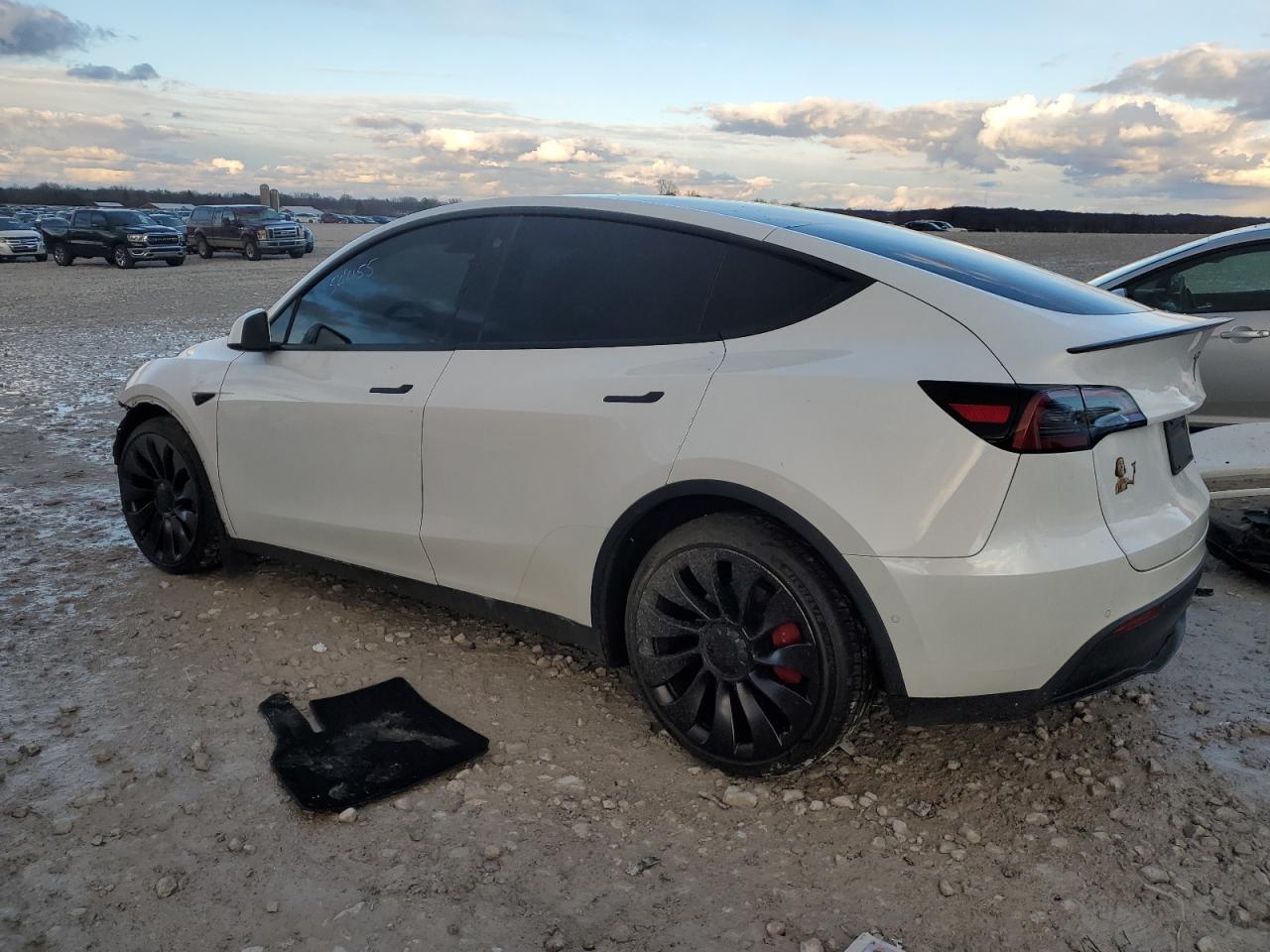 2022 TESLA MODEL Y  VIN:7SAYGDEF5NF554455