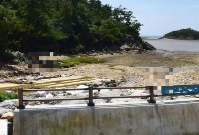 2020 Genesis GV80 VIN: