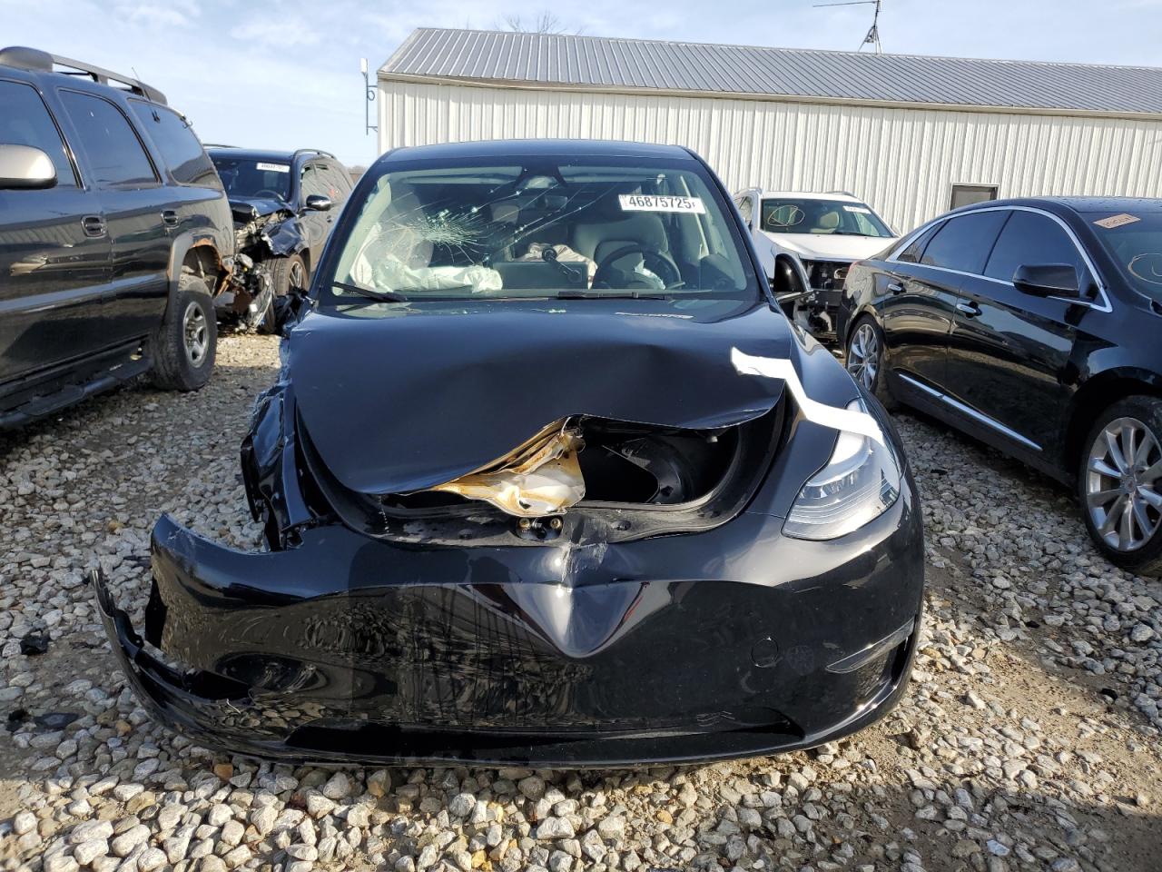 2024 TESLA MODEL Y  VIN:7SAYGDEE9RF183281