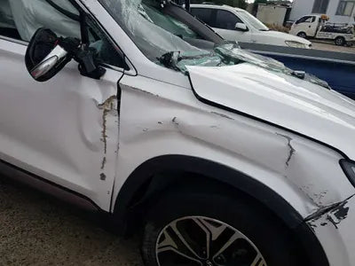 2019 Hyundai Santa FE 089KMKMHS381BDKU0 VIN:089KMKMHS381BDKU0