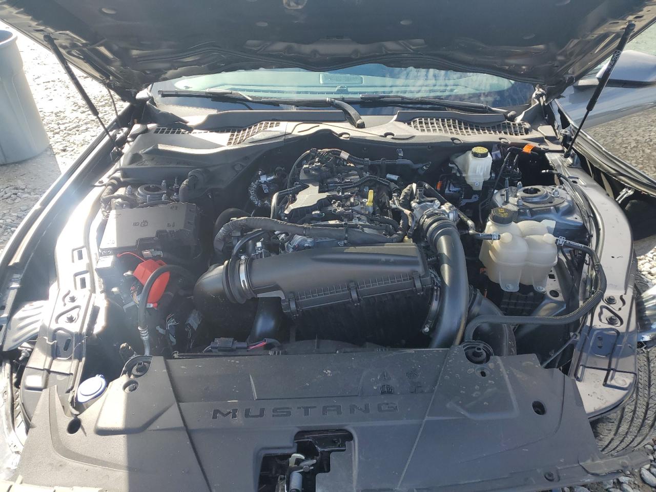2024 FORD MUSTANG  VIN:1FA6P8TH1R5110888