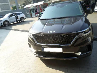2022 Kia Carnival KNHNC37BBPS198733 VIN:KNHNC37BBPS198733