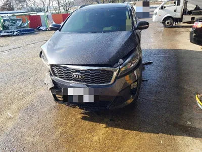 2020 Kia Sorento KNAPH81ABLA644289 VIN:KNAPH81ABLA644289
