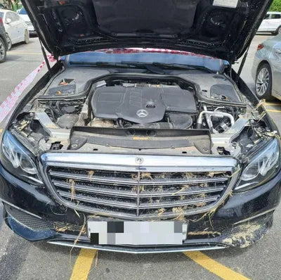 2020 Mercedes-Benz E 220 VIN: