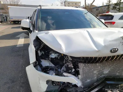 2021 Kia Carnival KNHNC373BMS053651 VIN:KNHNC373BMS053651