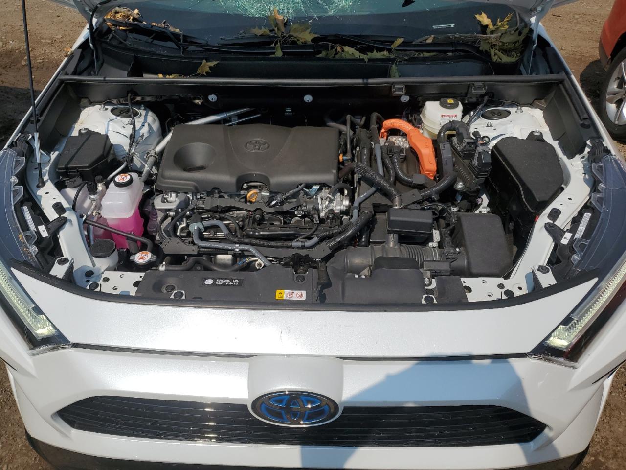 2023 TOYOTA RAV4 XSE VIN:2T3E6RFVXPW046341