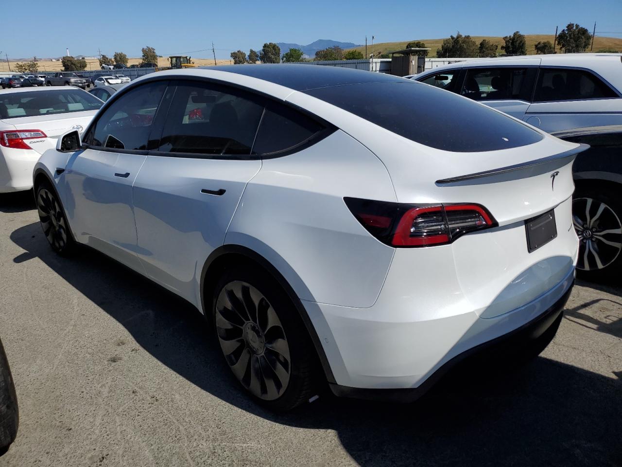 2022 TESLA MODEL Y  VIN:7SAYGDEF0NF493323