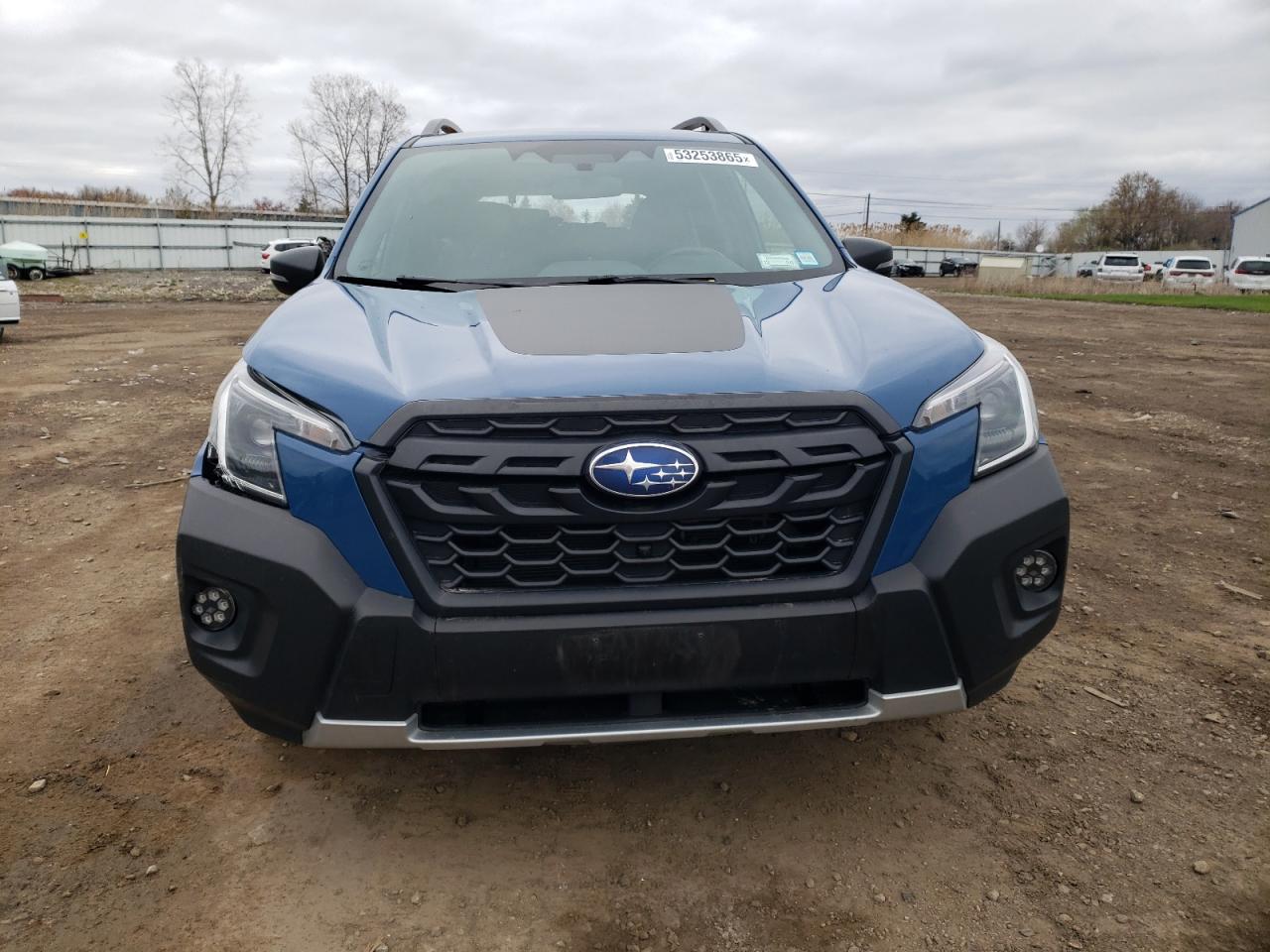 2022 SUBARU FORESTER WILDERNESS VIN:JF2SKAMC0NH444647