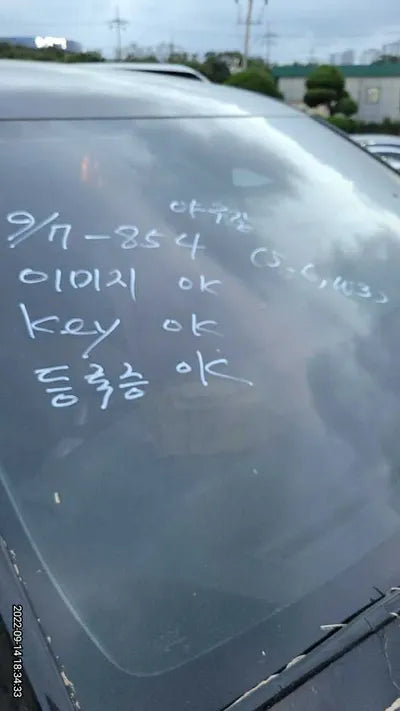 2021 Kia Carnival KNANC81BBMS044469 VIN:KNANC81BBMS044469