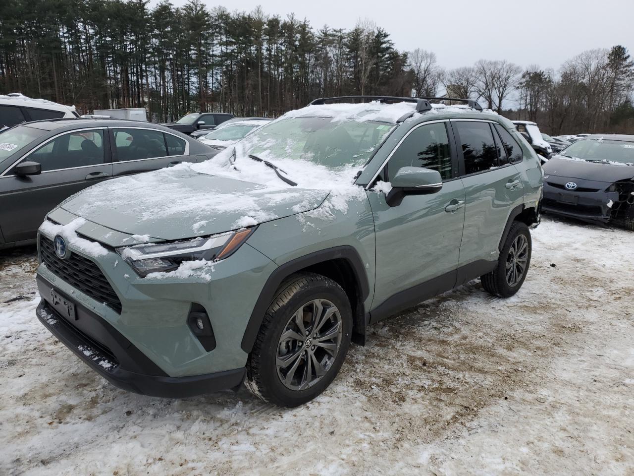 2023 TOYOTA RAV4 XLE PREMIUM VIN:JTMB6RFV9PD081422