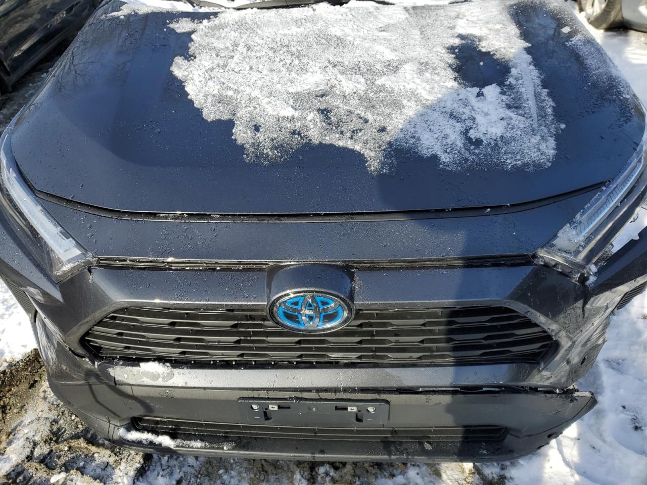 2024 TOYOTA RAV4 XLE VIN:2T3RWRFV2RW239863
