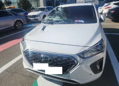 2019 Hyundai Ioniq KMHC951DGKU136059 VIN:KMHC951DGKU136059