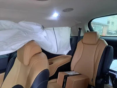 2020 Kia Carnival KNANC81BBMS018906 VIN:KNANC81BBMS018906