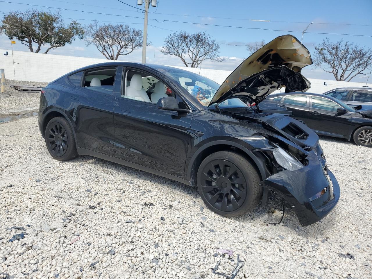 2024 TESLA MODEL Y  VIN:7SAYGDED5RF009277